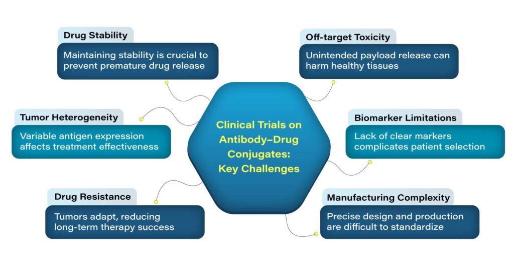 Clinical Trials on Antibody–Drug Conjugates: Key Challenges